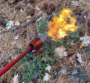 flame treatment